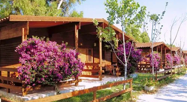 Camping Villaggio 5 Stelle, Varaa Leirintäalue Telttailu ja glamping kohteessa Foresta Umbra, Leirintäalue
