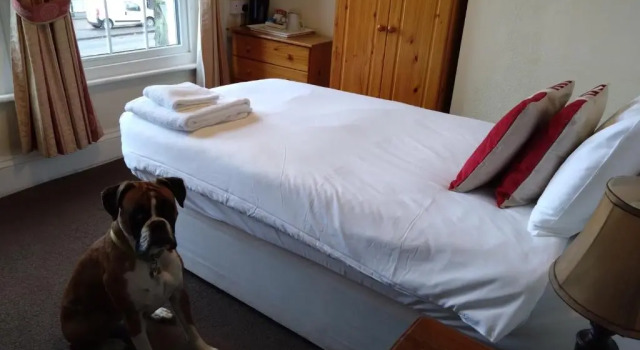 Номер Standard The Hillmorton Manor Hotel