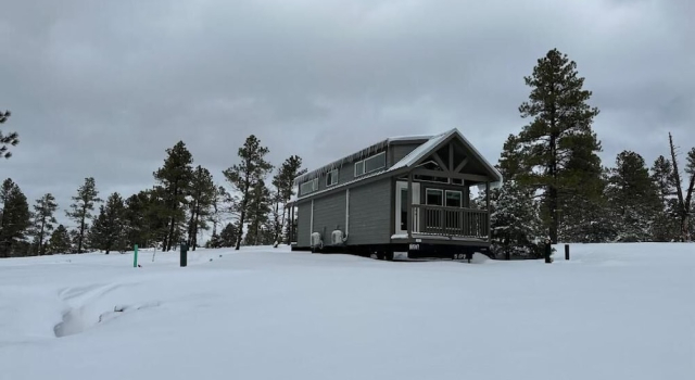 Номер Luxury Luxury Cabin with Forest View 5B