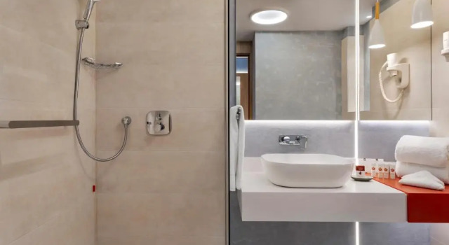 Habitación doble Estándar Ramada by Wyndham Slatina Parc