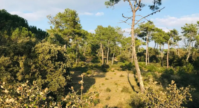 T2 pleine mer, l'océan et le soleil...