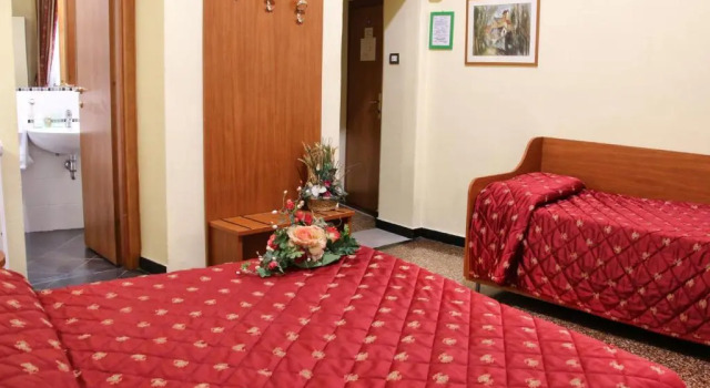 Трёхместный номер Standard Hotel Helvetia