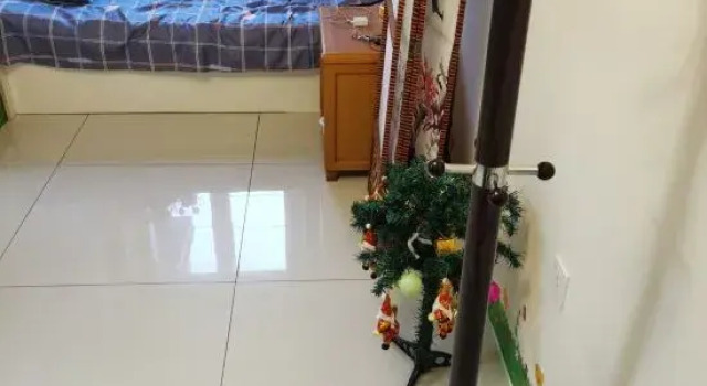 Xiaoyi Homestay, Varaa Hotelli Harbin Heilongjiang