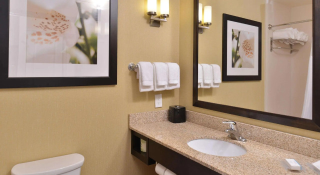 Двухместный люкс Hilton Garden Inn Cincinnati/West Chester