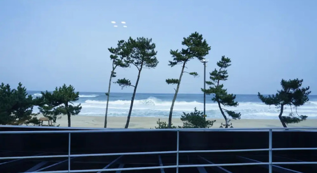 Двухместный номер Standard Hotel Juno