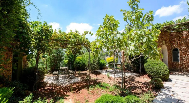 Люкс Tur Sinai Organic Farm Resort