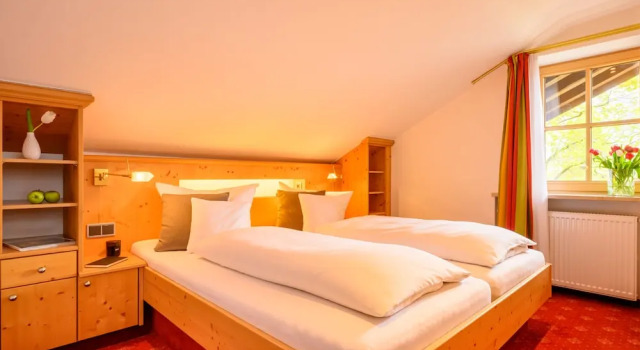 Двухместный номер Economy Aparthotel Weinklause Superior