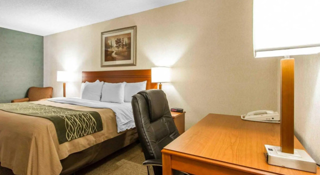 Номер Standard Comfort Inn at the Zoo Omaha