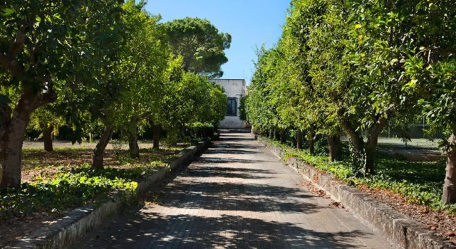 La Villa del Barone