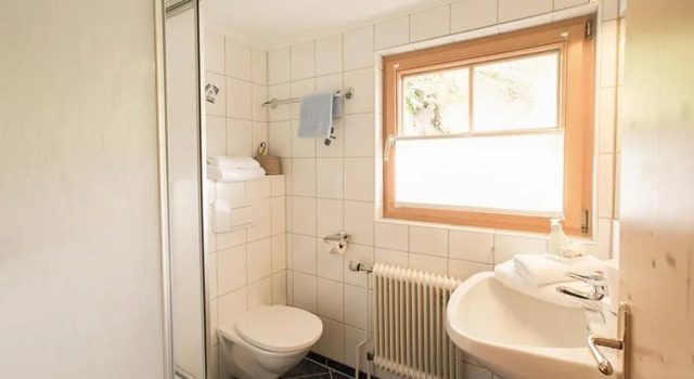 Двухместный номер Standard с балконом HOFERHOF Schladming -Dachstein