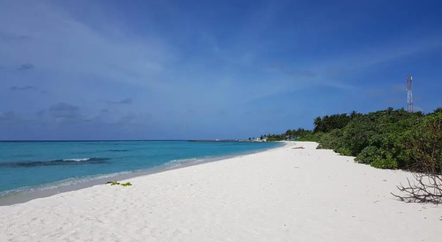 Vevu Villa Fenfushi, Buchen Sie Villa Fenfushi Ari-Atoll