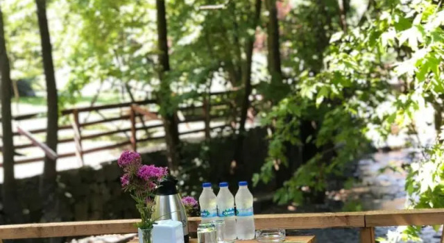 Feel & Live Hotel Villas Restaurant, Rezervovat Hotel Wellness hotely v Sapanca, SPA