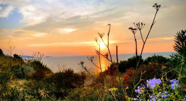 Номер Standard La Villa Volpaso