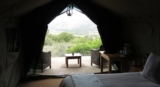 Двухместный номер Standard Woodbury Tented Camp - Amakhala Game Reserve