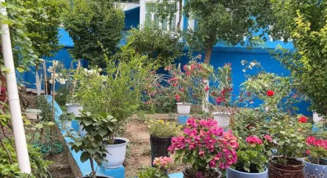 Cunye Homestay
