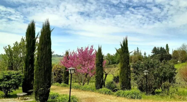 Casa Stella Country House, Prenota Hotel Hotel a Savigno con piscina, Piscina