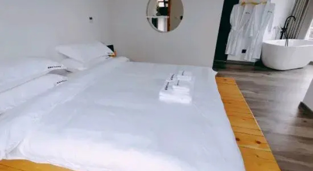 Suite Wanghai Hotel