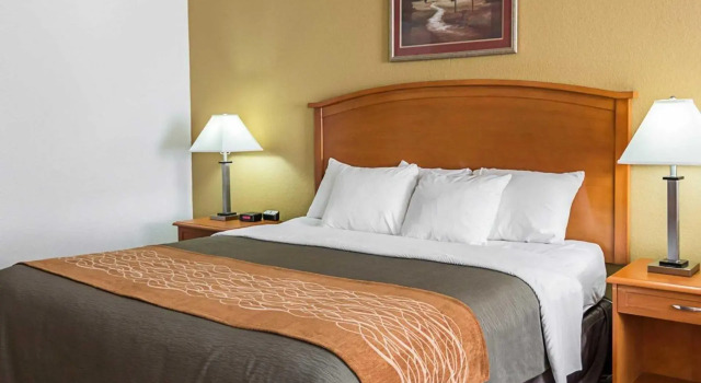 Двухместный Room Comfort Inn & Suites Chesapeake - Portsmouth