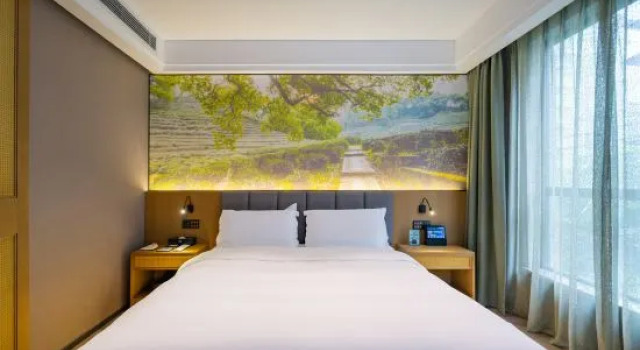 Люкс Premier TRUE GO Hotel (Wuhan Xianggang Road Subway Station Children's Hospital)