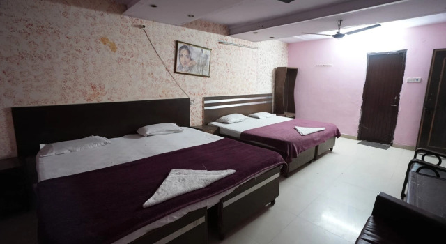 Номер Deluxe Hotel Swagat Palace