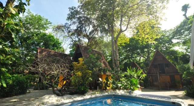 Бунгало Howler Monkey Hotel