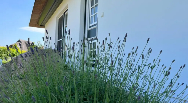 Коттедж Villa Sorgenfrei