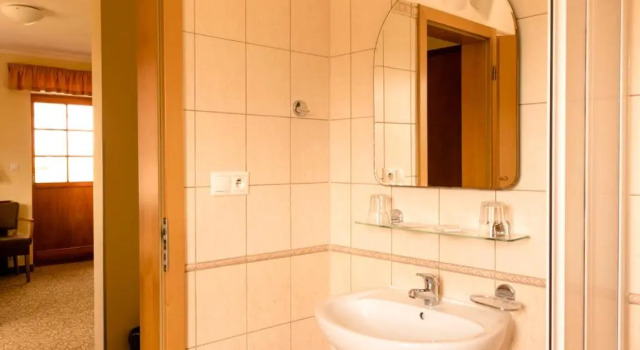 Двухместный номер Standard Hotel VÍTKOVA HORA