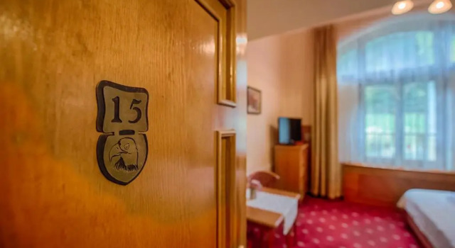 Номер Standard Hotel Zlatý Orel