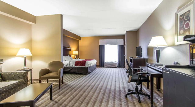 Двухместный люкс Comfort Suites Smyrna - Nashville Area