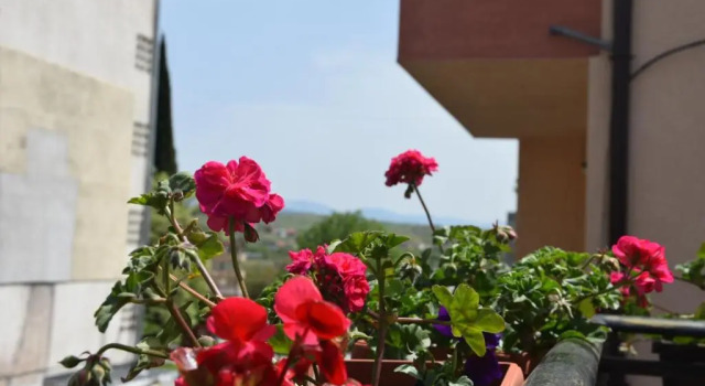Princess Apartment, Prenota Appartamento Hotel a Blagoevgrad con parcheggio, Parcheggio