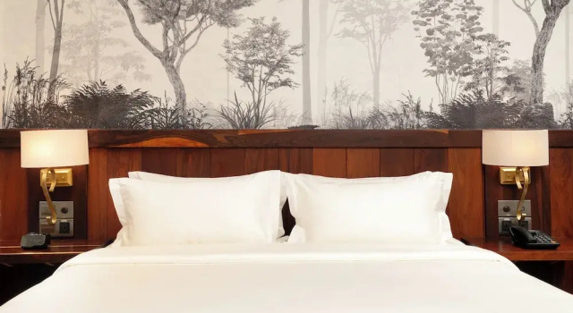Двухместный номер Deluxe Koulen Central Hotel