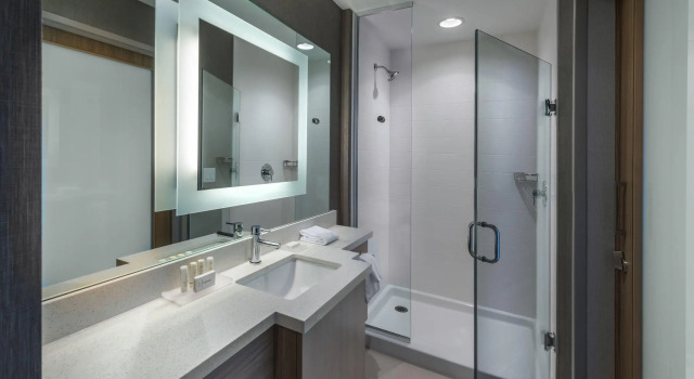 Двухместный люкс SpringHill Suites by Marriott Reno