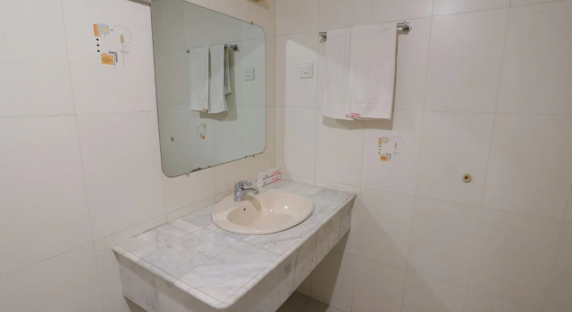 Одноместный номер Deluxe Hotel Metro International
