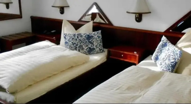 Двухместный номер Standard Hotel Froschkönig
