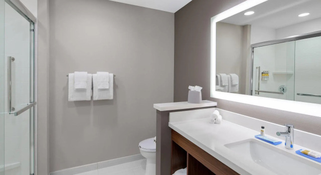 Номер Standard Holiday Inn Express & Suites Lubbock Central - Univ Area by IHG