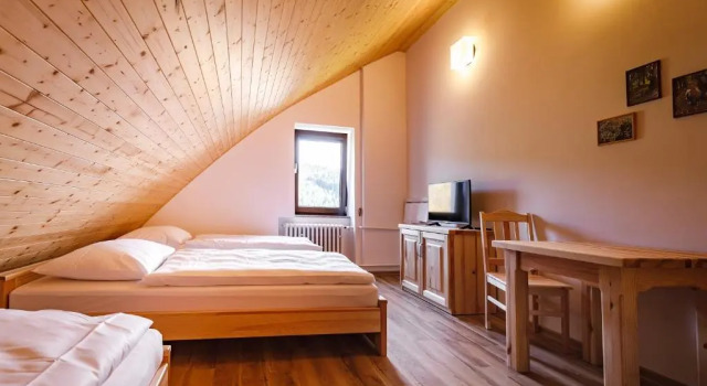 Семейный номер Standard SPA Pod javory