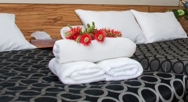 Номер Standard Aalbany Motel