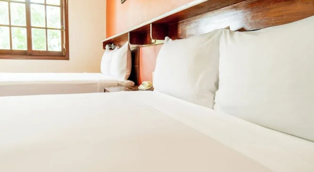 Номер Standard Villas del Sol Hotel & Bungalows