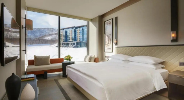 Двухместный номер с видом на горы Park Hyatt Niseko Hanazono