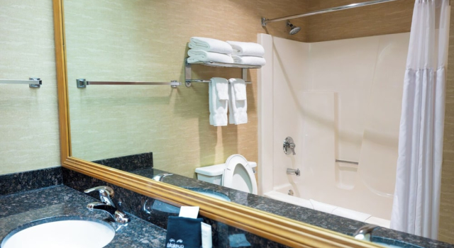 Четырёхместный номер Standard с красивым видом из окна Express Suites Riverport Inn & Suites