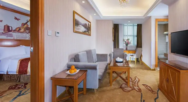Люкс Deluxe Vienna Hotel Chaozhou Bus Terminal Branch