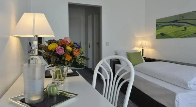 Одноместный номер Business Hotel am Sophienpark