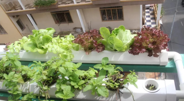 Winter Spring Home & Tourist - Hostel, Book Hostel / Vandrerhjem Hoteller i Mekong Delta med parkering, Parkering