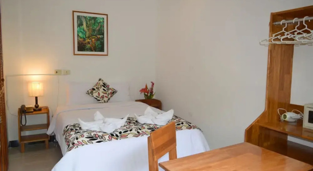 Номер Economy Hotel Jungle House