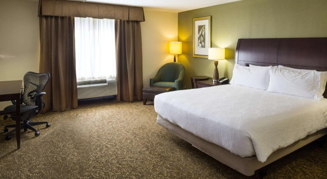 Двухместный номер Standard Hilton Garden Inn Hampton Coliseum Central