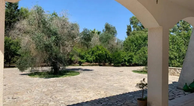 Hütte Villa Olivia
