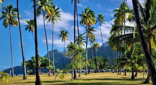 Moorea - O Motu in Temae, Book Hotel Temae Moorea