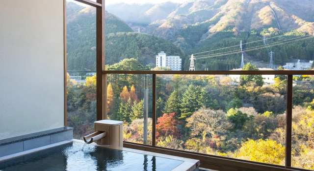Люкс Kanaya Hotel Kinugawa