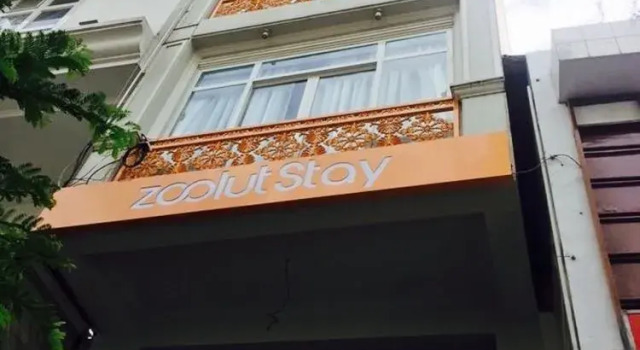 Zoolut Stay 278
