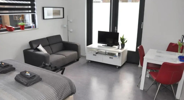 Номер Standard Elvis Presley private studio with kitchen and airconditioning